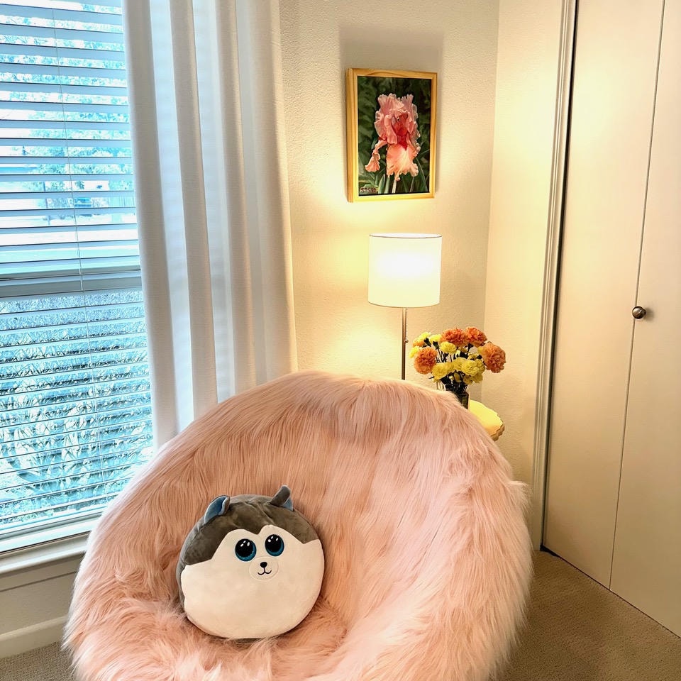 Austin Trail — After, cozy reading corner with pink fluffy chair, iris painting and floor lamp