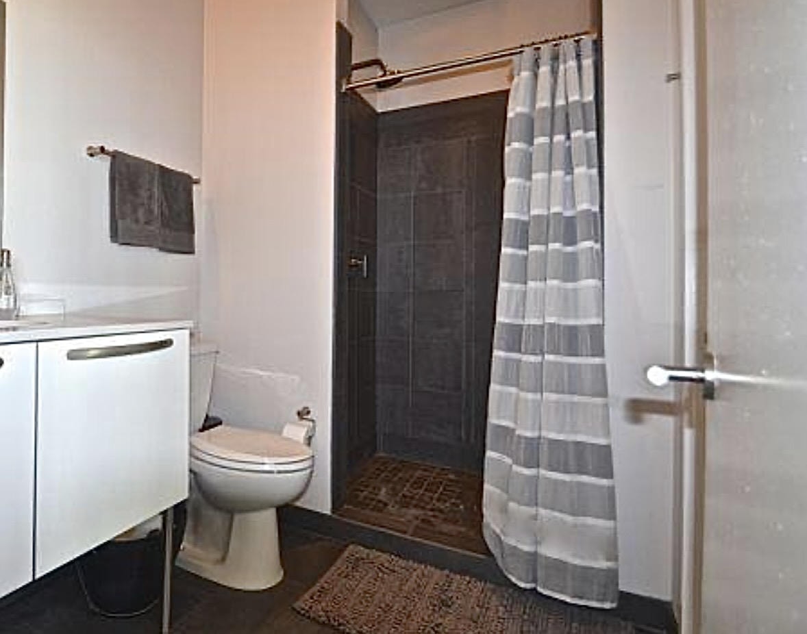 Nashville Gulch — Before, bathroom with dark tile shower and striped curtain